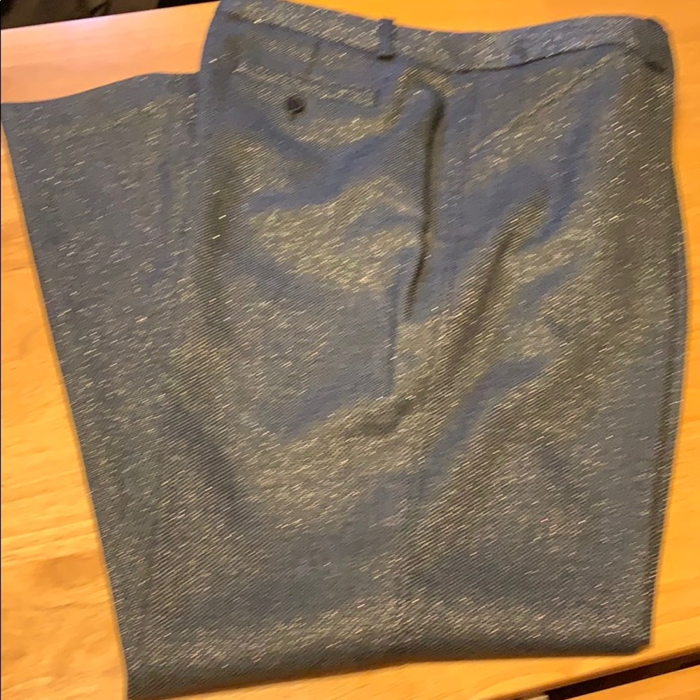 NWT Shiny Slacks! Worthington trouser leg 14P